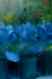 ChristineMacchi_AlmostAbstract-Two-1