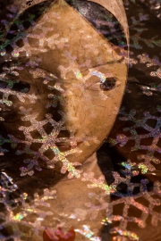 ChristineMacchi_AlmostAbstract-Two-10