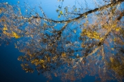 ChristineMacchi_AlmostAbstract-Two-16