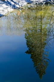 ChristineMacchi_AlmostAbstract-Two-9