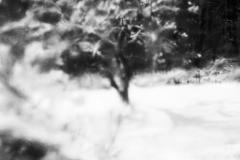 all rights reserved