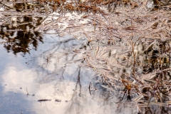 ChristineMacchi-Landscapes-17
