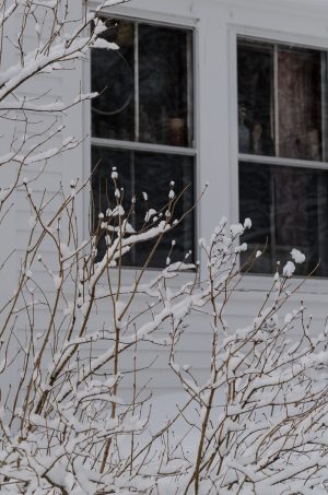 A touch of snow